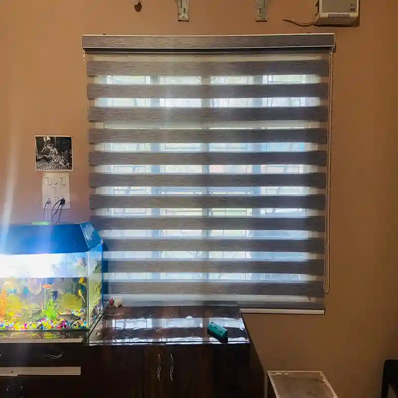 Windows Blinds in Durg